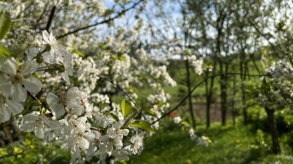 Feriengrundstück